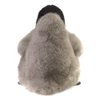 Folkmanis Baby Emperor Penguin Hand Puppet, Gray, Black, White, 8"