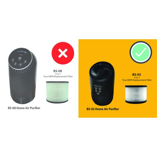 Flintar BS-03 H13 True HEPA Replacement Filter, Compatible with PARTU and SLEVOO BS-03 HEPA Air Purifier, 2-Pack