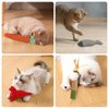FALDAA 7 Pcs Pet Toys Set, Catnip Fish Toys, Carrot Cat Toys for Chewing, Catnip Toys Balls, Catnip Sticks, Cat Comb Massage, Catnip Cat Plush Toy Lobster
