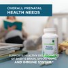 Seeking Health Prenatal Essentials - Brain Health Support Supplement with Vitamin B12 & K2 - Folate Supplement for Pregnancy & Prenatal Support - 60 Capsules