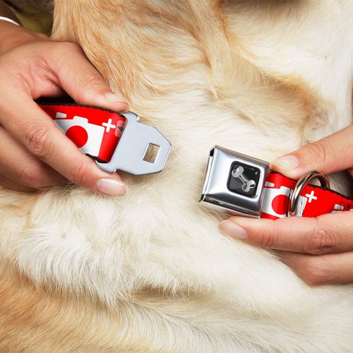 Buckle-Down Seatbelt Buckle Dog Collar - Camera Red/White - 1" Wide - Fits 9-15" Neck - Small