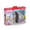 Schleich Horse Club Sofia's Beauties 18-Piece Horse Beauty Set - Sofia Horse Rider and Horse Figurine with Brushable Styling Mane and Tail Plus Accessories, Gift for Boys and Girls Ages 5 and up