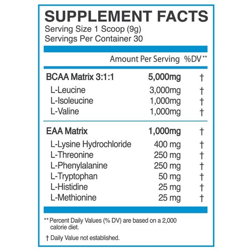 eFlow Nutrition Endure BCAA Plus EAA - Essential Amino Acids Electrolyte Powder Intra Workout - Improve Energy, Recovery and Performance - Warrior Gummy Bear(30 Servings)