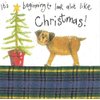 Border Terrier Christmas Cards "Christmas Star"
