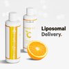 Codeage Liquid Vitamin C 1000mg, Vitamins D3, E & Zinc, Rose HIPS, Quercetin, Echinacea, Vegan Liposomal Vitamin C Supplement, Non-GMO, 16 fl oz