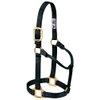Weaver Leather Original Non-Adjustable Nylon Horse Halter, Small, Black
