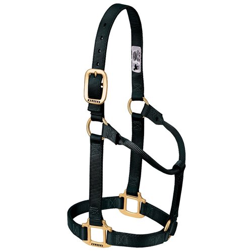 Weaver Leather Original Non-Adjustable Nylon Horse Halter, Small, Black