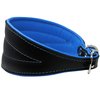 Real Leather Extra Wide Padded Tapered Dog Collar Glossy Black Greyhound Saluki Deerhound Lurcher Whippet Dachshund (13.25"-15.25" Neck; 2.5" Wide, Blue)