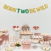 RoadSea Born Two Be Wild Banner - Boy Girl Kid 2nd Birthday Party Supplies - Baby Shower Idea and Gift - Two Years Old Birthday Party Decorations - Gold Glitter