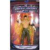 WWE Summer Slam Road to Wrestlemania 23 Exclusive Series 3 Action Figure Matt...