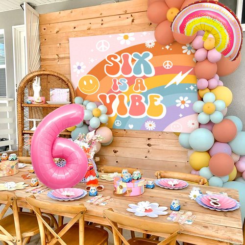 Six Is A Vibe Birthday Party Decorations Balloon Rainbow Daisy Balloons Vintage Groovy 6th Birthday Decorations Hippie Retro 6 Years Old Birthday Decorations