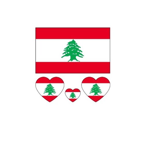 ZPDNURZL 10 Sheets Lebanon Flag Tattoos Stickers 40 Pcs Waterproof Sweat Sports National Flag Removable Fake Tattoos