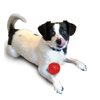 SPOT Play Strong Small Ball - Durable TPR, Treat Hiding, Virtually Indestructible Dog Toy for Aggressive Chewers, Small Dogs & Puppies, 2.5 inch