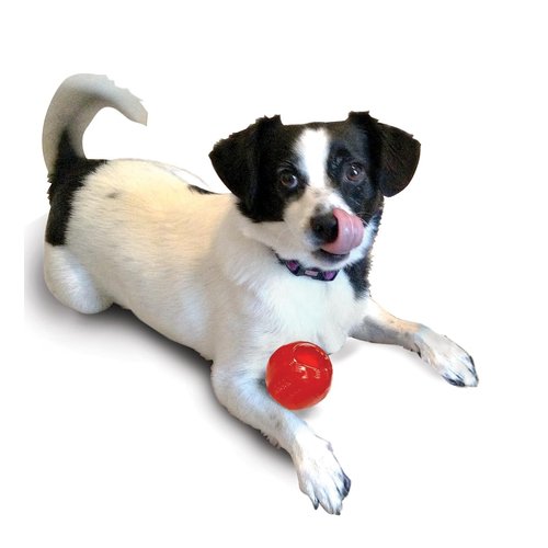 SPOT Play Strong Small Ball - Durable TPR, Treat Hiding, Virtually Indestructible Dog Toy for Aggressive Chewers, Small Dogs & Puppies, 2.5 inch