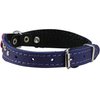 Genuine leather Designer Dog Collar 11" x3/4" with Studs, Daisy, and Rhinestone