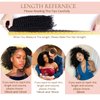 Loxxy Kinky Curly Clip in Human Hair Extensions 3B 3C Kinky Clip ins For Black Women Nutural Color 8A Double Wefts Real Remy Balayage Hair Extension,120G,16 Inch