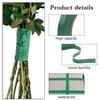 Prudiut 2 Roll Green Floral Tape Waterproof Florist Tape, 0.4" Wide Flower Wrap Tape Floral Tape for Fresh Flower Bouquet Wrap Flower Arrangements Crafts (100Ft/33Yd)