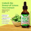 Green Tea 10:1 Extract 50% EGCG - Green Tea Liquid Drops - Vegan, 4X More Powerful Than Pills & Capsules - 2oz Antioxidant & Immune Supplement - Skin, Heart Support, Brain Health & Memory Boost