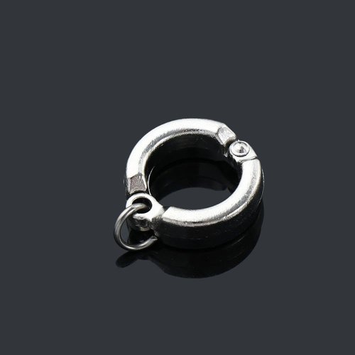 2Pcs Silver Parrot Foot Rings, Bird Leg Rings Metal Bird Foot Rings Outdoor Fly Training Parrot Leg Bands Birds Opening Clip(Inner Diameter 5.5 mm), Birds，Bird Toys