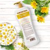 Goicoechea Calming Touch Body Lotion, Moisturizing Skin Care with Arnica & Chamomile, Improves Appearance of Varicose Veins & Blemishes, Smooths & Tones, 13.5 oz