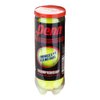 Penn Championship Regular Tennis Balls Single Can