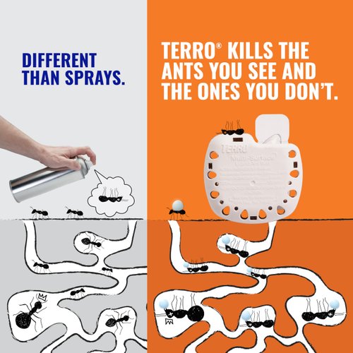 TERRO T334B Indoor Multi-Surface Liquid Ant Bait and Ant Killer - 4 Discreet Ant Bait Stations - Kills Common Household Ants