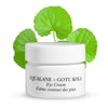 NOW BEAUTY Squalane Plus Gotu Kola Eye Cream - Brightening, Anti-Aging Under Eye Cream– Anti – Wrinkle Vitamin C Cream– Vegan – For Men & Women – Sulfate & Paraben Free – Travel Size - 0.7 oz