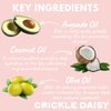 Crickle Daisy All Night Long Lip Treat Mask - Overnight Hydrating Lip Mask with Avocado, Olive & Coconut Oil - Deep Moisture for Dry, Chapped Lips - Vitamin Rich, Wake Up with Soft, Smooth Lips, 20ml