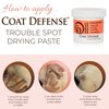 COAT DEFENSE Trouble Spot Drying Paste - Made in USA - 5 Oz Dog & Cat Skin Care, Itchy Skin & Allergies, Alleviates Hot Spots for Dogs & Cats, Insect Bites Relief & Dog Wound Care