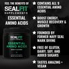SEALFIT Essential Amino Acids Pre + During + Post Workout Powder. EAA + BCAA Aminos Supplement for Energy, Muscle Growth, and Recovery. EAAs and BCAAs Preworkout for Men & Women. Perfect Berry Flavor