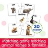 The Learning Journey: Match It! - Animal Families - Learning Animals, Animal Matching Game, Animal Puzzle For Kids, Puzzle For Toddlers, Award Winning Educational Toys