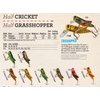Rebel Lures Crickhopper Cricket / Grasshopper Crankbait Fishing Lure, 1 1/2 Inch, 1/4 Ounce, Black Cricket, Crickhopper (3/32 oz)