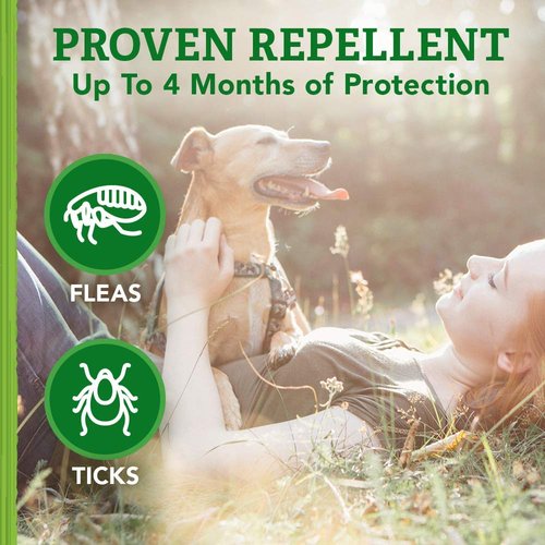 Natural Care Repellent Flea and Tick Collar for Dogs and Puppies - 4 Month Flea & Tick Treatment for Dogs - Repels Fleas & Ticks with Certified Natural Oils