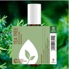 Rocky Mountain Oils - Tea Tree 10ml Roll-On - Essential Oil Blend 10 ml