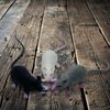 Halloluck 6 Piece Halloween Fake Rat Simulation PVC Mouse Novelty Prop Halloween Decorations