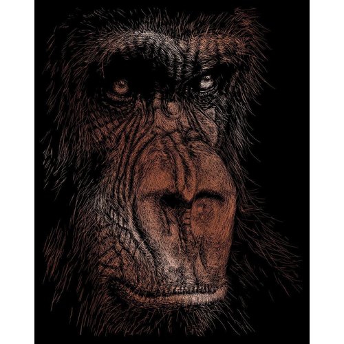 Royal Brush Copper Foil Engraving Art Kit 8"X10", The Wise Simian