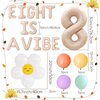 JeVenis Eight is A Vibe Party Decoration Groovy 8th Birthday Decorations Hippie Banner Boho Decor Retro Flower Daisy 60's 70's Theme Party Supplies