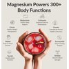 BIOptimizers Magnesium Breakthrough Drink - 8 Forms of Magnesium, Electrolytes, Sleep Health, Stress, Muscle Recovery, Heart Support | Glycinate, Citrate, Malate- Tart Cherry