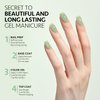 GAOY Jelly Gel Nail Polish, 16ml Sheer Green Translucent Soak Off Gel Polish, UV Light Cure for Nail Art DIY, 2135 Light Jade