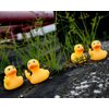 DS. DISTINCTIVE STYLE Middle Finger Rubber Ducks 4 Pieces Yellow Rubber Duck 2.16 Inch Funny Car Ornaments Duck for Car Dashboard Decoration, Computer Monitor Decor