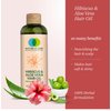 NATURE-O-CARE Hibiscus & Aloe Vera Herbal Hair Oil for Nourished and Shiny Hair- Anti-Breakage Formula Nourish, Strengthen & Hydrate Scalp & Hair Follicles 6.76 FL.OZ