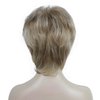 Aimole Short Layered Straight Wigs Synthetic Women's Wig Full Hair (H16-613)