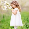 20Pcs Crystal Flower Hair Clips Mini Spring Claw Clips Spring Floral Pearl Hair Clip for Thick and Thin Hair Women's and Girls Hair Accessories (5 Colors)