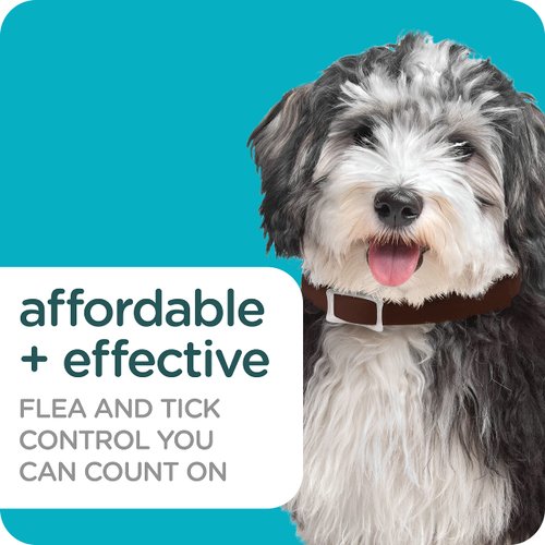 Sergeant's Guardian Pro Flea & Tick Collar for Dogs, Kills Fleas & Ticks, Long Lasting Protection for 6 Months, Fresh Scent, One Size Fits All, 1 Collar