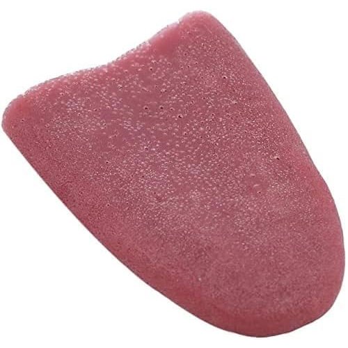Sluswallow 2Pcs Realistic Fake Tongue Gross Jokes Prank Magic Tricks Fashion Processing Halloween Magicians Props Tricks Tongue Toys Novelty and Gag Toys