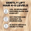 Good Dye Young Hair Lightener Kit with Dust Free Powder Lightener and 25 Volume Developer - Moisturizing Bleaching Kit - Vegan Hair Bleach (4 oz.)