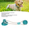 Jopwkuin Suction Cup Dog Tug Rope Toy, Interactive Teeth Puppy Pull Toy for Home(Green Ball Shape)