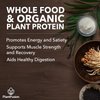 SOTRU Organic Vegan Protein Powder - Whole Food, Plant Based Protein Powder with Green Superfoods, Enzymes & Probiotics - USDA Certified Organic, Non-GMO, Gluten-Free - Vanilla 18.5 oz, 21 Servings