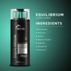 TRUSS Equilibrium Hair Conditioner - Powerful Hair Repair in a Hydrating Conditioner for Damaged Hair - Reduce Excess Oil While Strengthening + Detangling Strands - (300 ml)