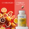 SOLARAY Vitamin C w/Rose HIPS & Acerola, 1000mg, Two-Stage Timed-Release Healthy Immune Function (100 Servings, 100 Tablets)